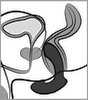 Analplug „Prostate Plug with Vibration“, 7 Vibrationsmodi, wiederaufladbar