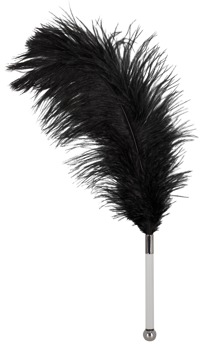Feather Tickler