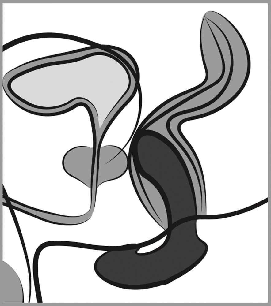 Analplug „Prostate Plug with Vibration“, 7 Vibrationsmodi, wiederaufladbar