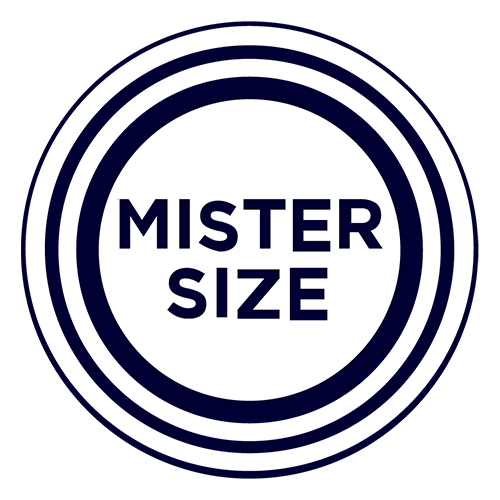 Logo Mister Size