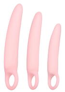 Vaginal Trainers