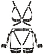 Harness-Set aus Leder