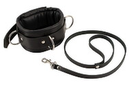 Leather Collar/Leash