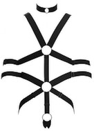Harness
