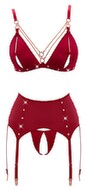 Bra and Suspender Set