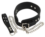 Silicone Collar with Leash