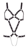 Harness