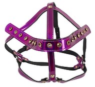 Head Harness