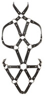 Harness