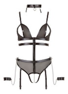 Body ouvert, Wetlook und Powernet in Harness-Optik inkl. Halsband