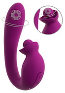 Vibrator With Double Rotation