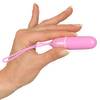 RC Panty Vibrator