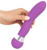 Vibrator