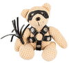SM Teddy