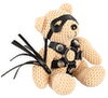 SM Teddy