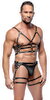 Leather Harness Set