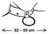 Bondage Collar