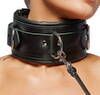Leather Collar/Leash