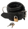 Leather Restraint Set