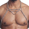 Harness