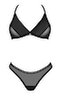 Set Latinesa
