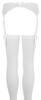 Suspender Belt and Stockings