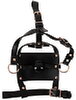 head harness with a gag