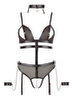 Body ouvert, Wetlook und Powernet in Harness-Optik inkl. Halsband