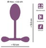 Vaginal Trainer with Bouncing Weights