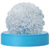 GEO CORAL