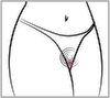 Panty-Vibrator „Heart“ mit Fernbedienung