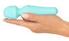 Small Wand Massager