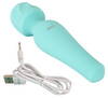 Small Wand Massager