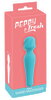 Small Wand Massager