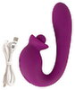 Vibrator With Double Rotation