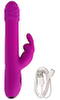 Rabbit Vibrator with Rotation and Thrust Function