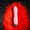 Mini Vibrator