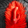 Mini-Rabbitvibrator „Maison Tabou“ mit starker tiefgehender Vibration (10 Modi)