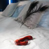Mini-Rabbitvibrator „Maison Tabou“ mit starker tiefgehender Vibration (10 Modi)