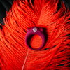 Vibro-Cock Ring