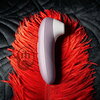 Womanizer Pro by Maison Tabou