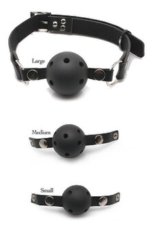 Ball Gag Training System