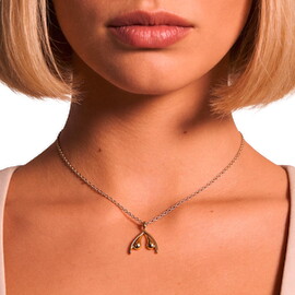 Main image of Clitoris Necklace