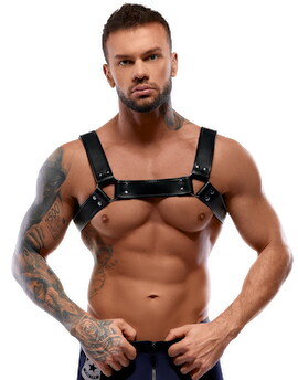 Harness