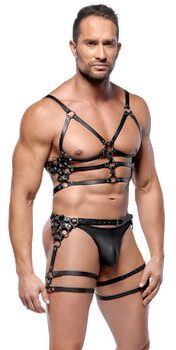 Leather Harness Set