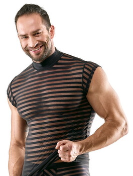 Hauptbild von Shirt im transparenten Streifen-Look