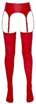 Main image of Suspender Belt & Stockings