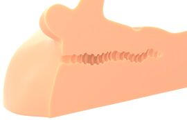 Hauptbild von Torso-Masturbator „Perfect Ride“ mit rundum beweglichem Penisdildo