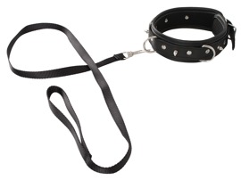 Collar and Leash