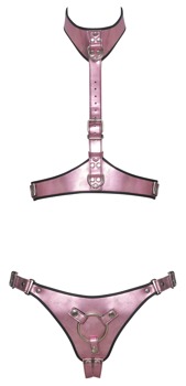 Hauptbild von 2-teiliges Harness-Set